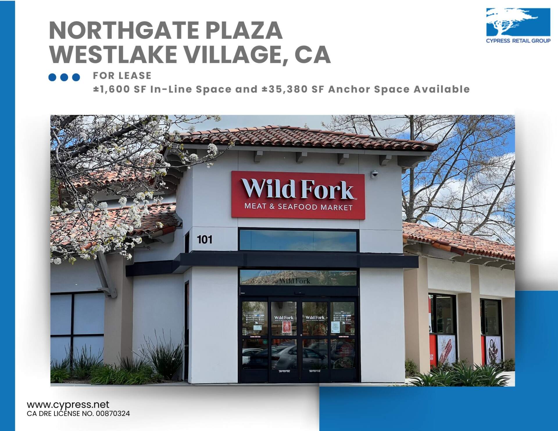 Northgate Plaza Brochure