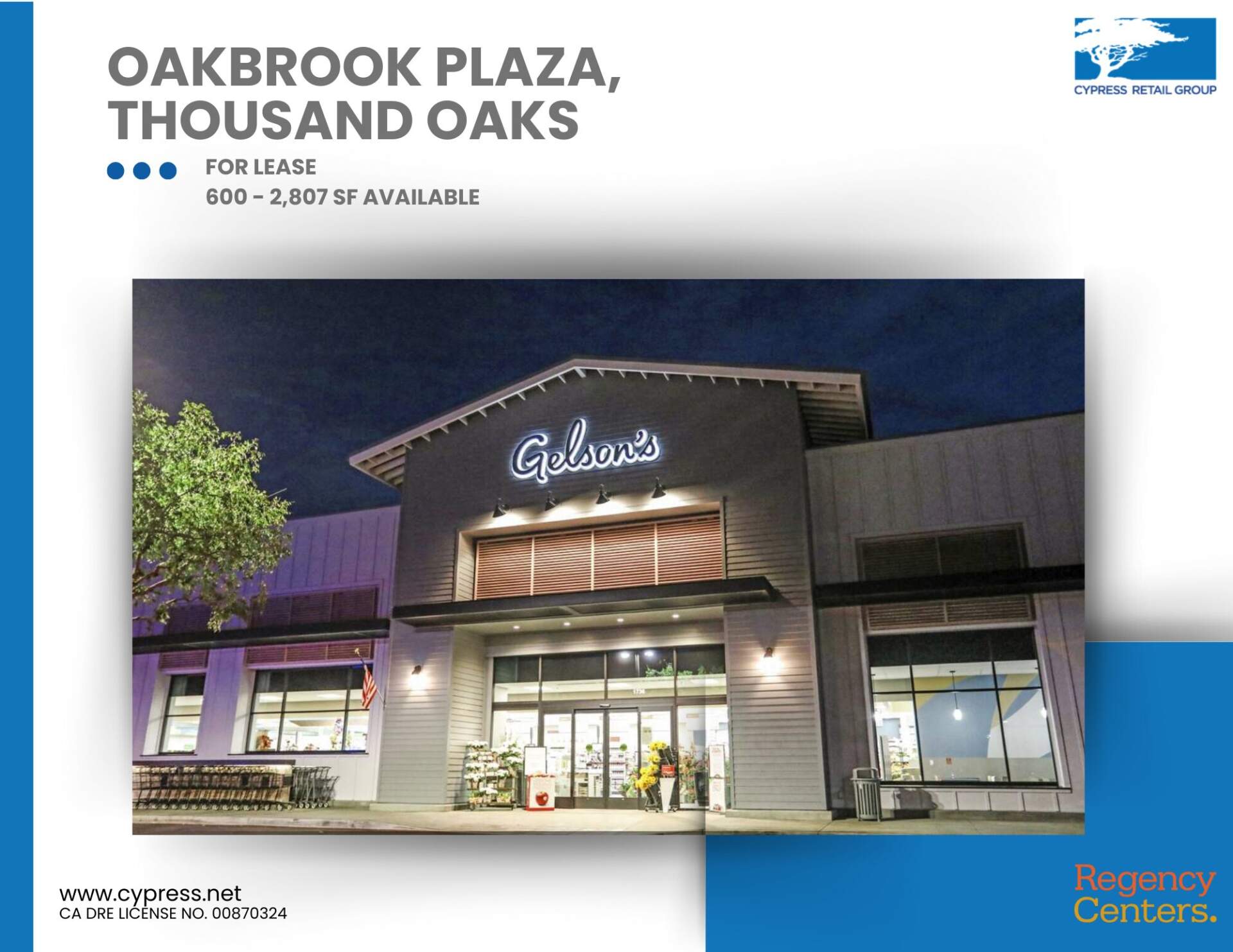 Oakbrook Plaza Brochure